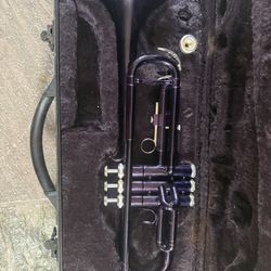 Trumpet With Case And Mouthpiece 