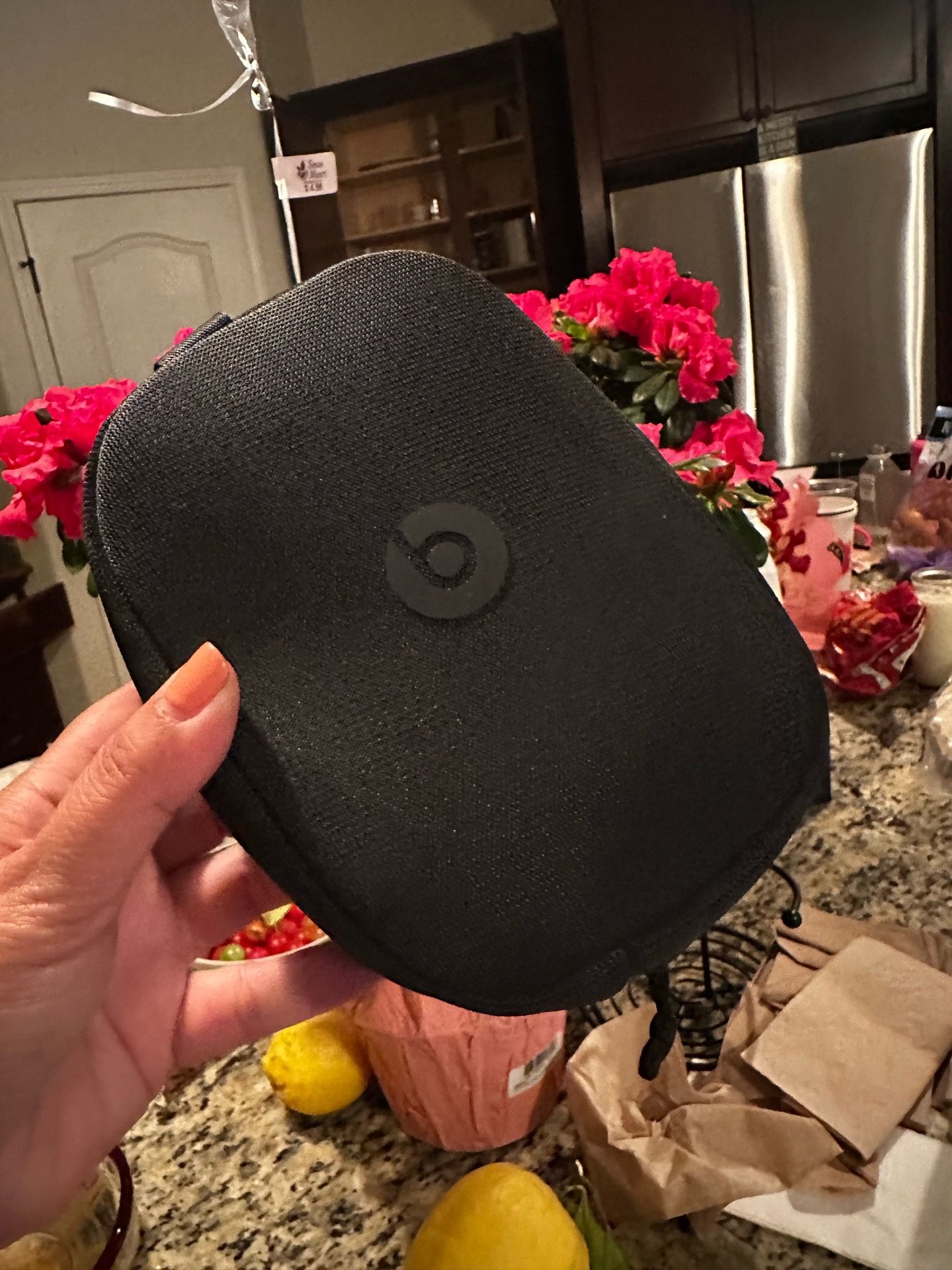 Beats case