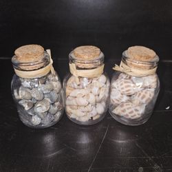 3 Decorative Glass Jars With Assorted Seashells 