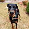 Zac