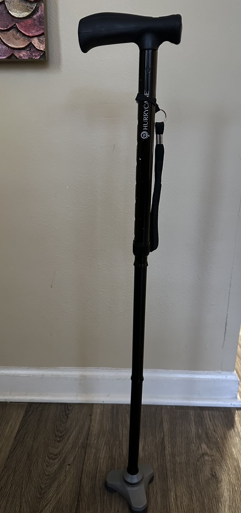 Hurrycane