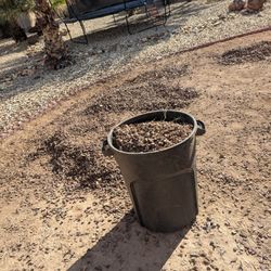 Free Rubber Mulch