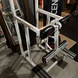 Standing Leg Curl Machine