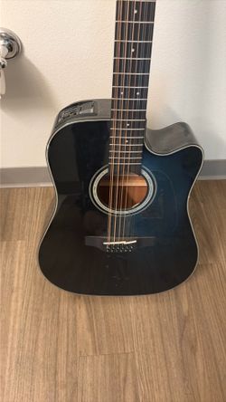 Takamine 12 string