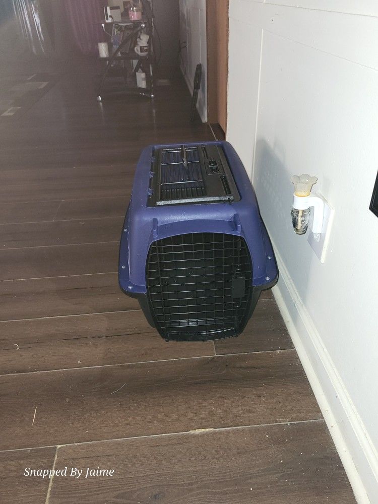 Medium Size Dog Kennel