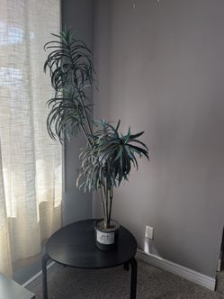 Artificial Plant