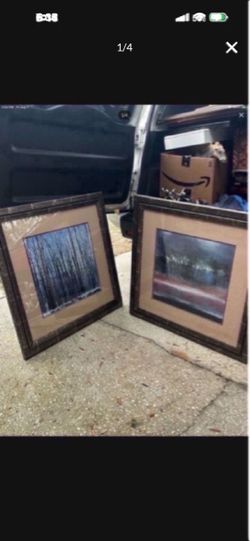Set of 2 Framed Nature lithograph Prints