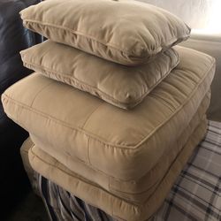 Free Couch Cushions 