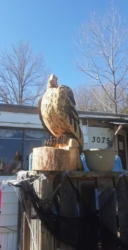 Chainsaw Carved Eagle Thumbnail