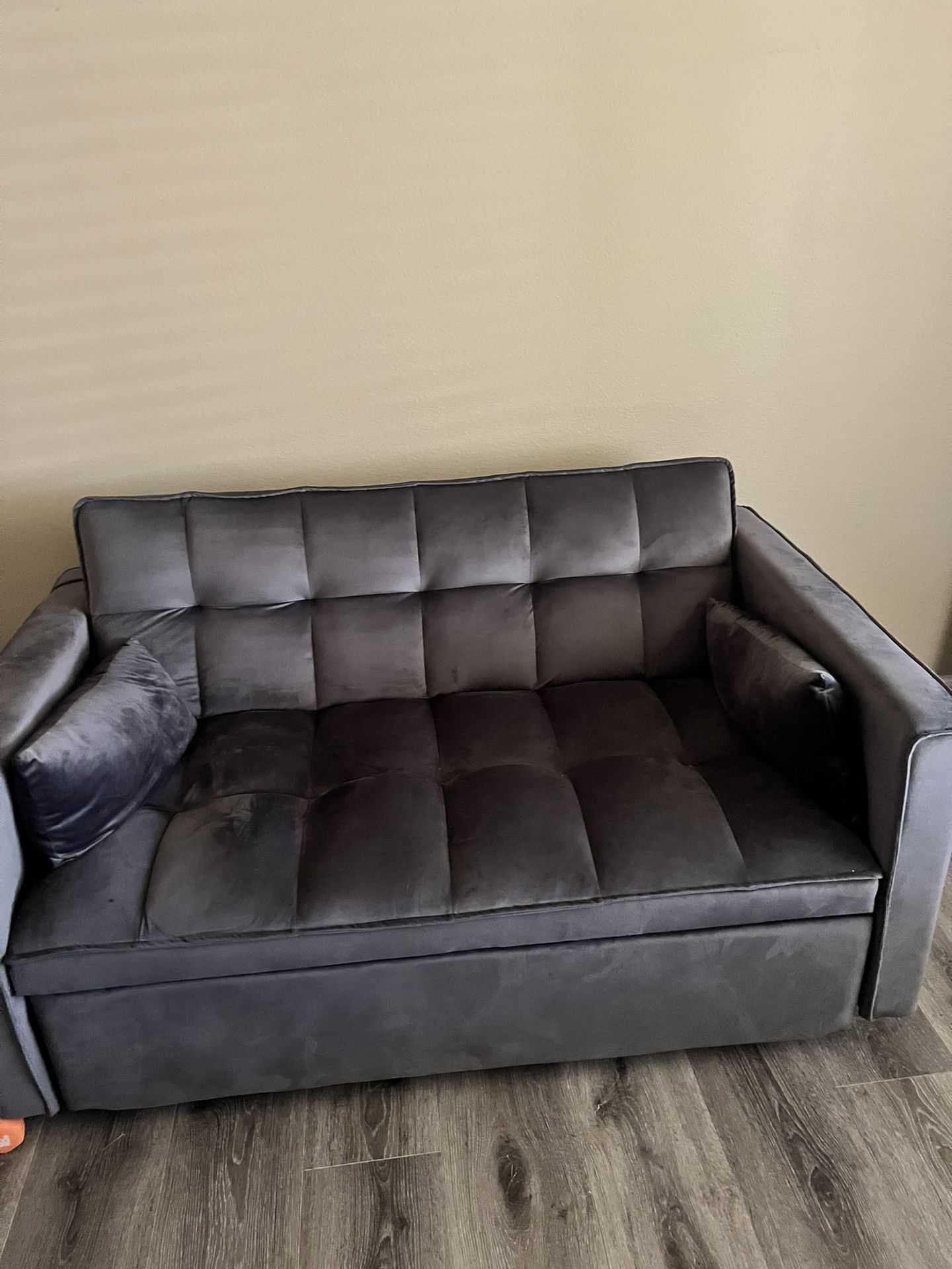 Couch/Pull Out Bed