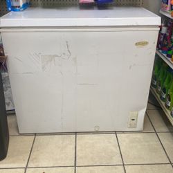 Large Freezer 