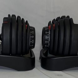 BowFlex Results Series 552 SelectTech Dumbbells