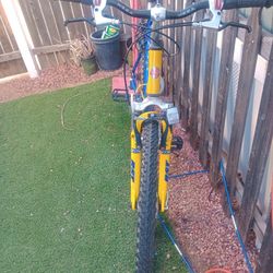 Schwinn Mesa Mountain Bike Rare