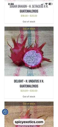 Dragon Fruit Cutting