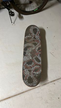 Santa Cruz Skate Board