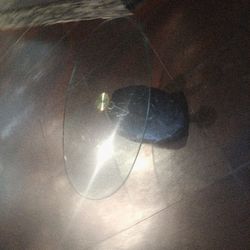 Giorgio & Maurizio Cattelan coffee table