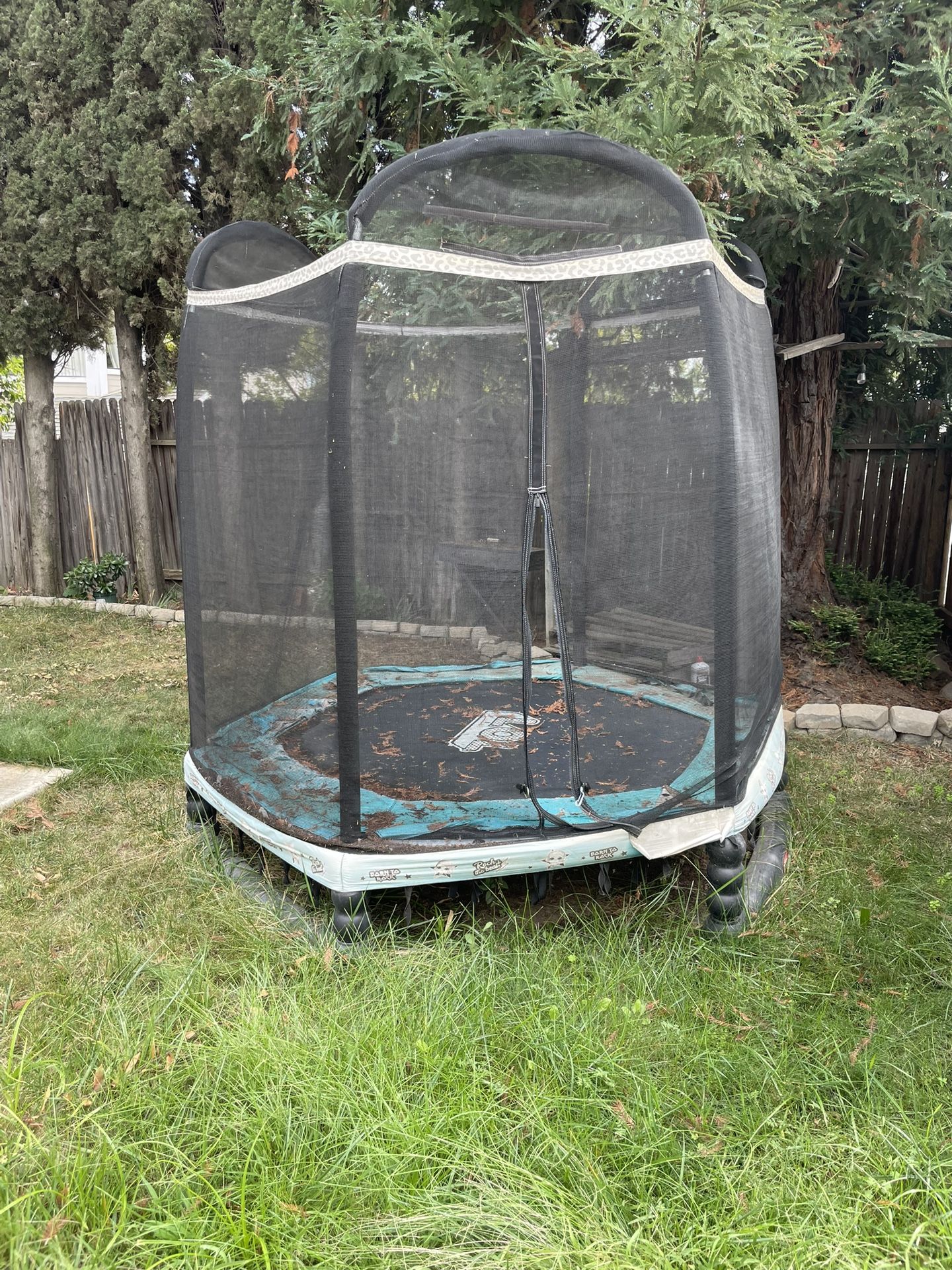 trampoline