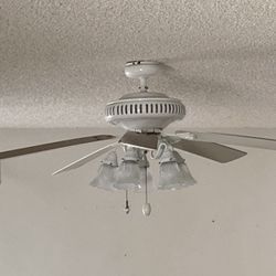 5 Paddle Ceiling Fan