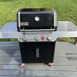 Webber Natural Gas Grill