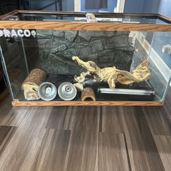 Reptile Tank 