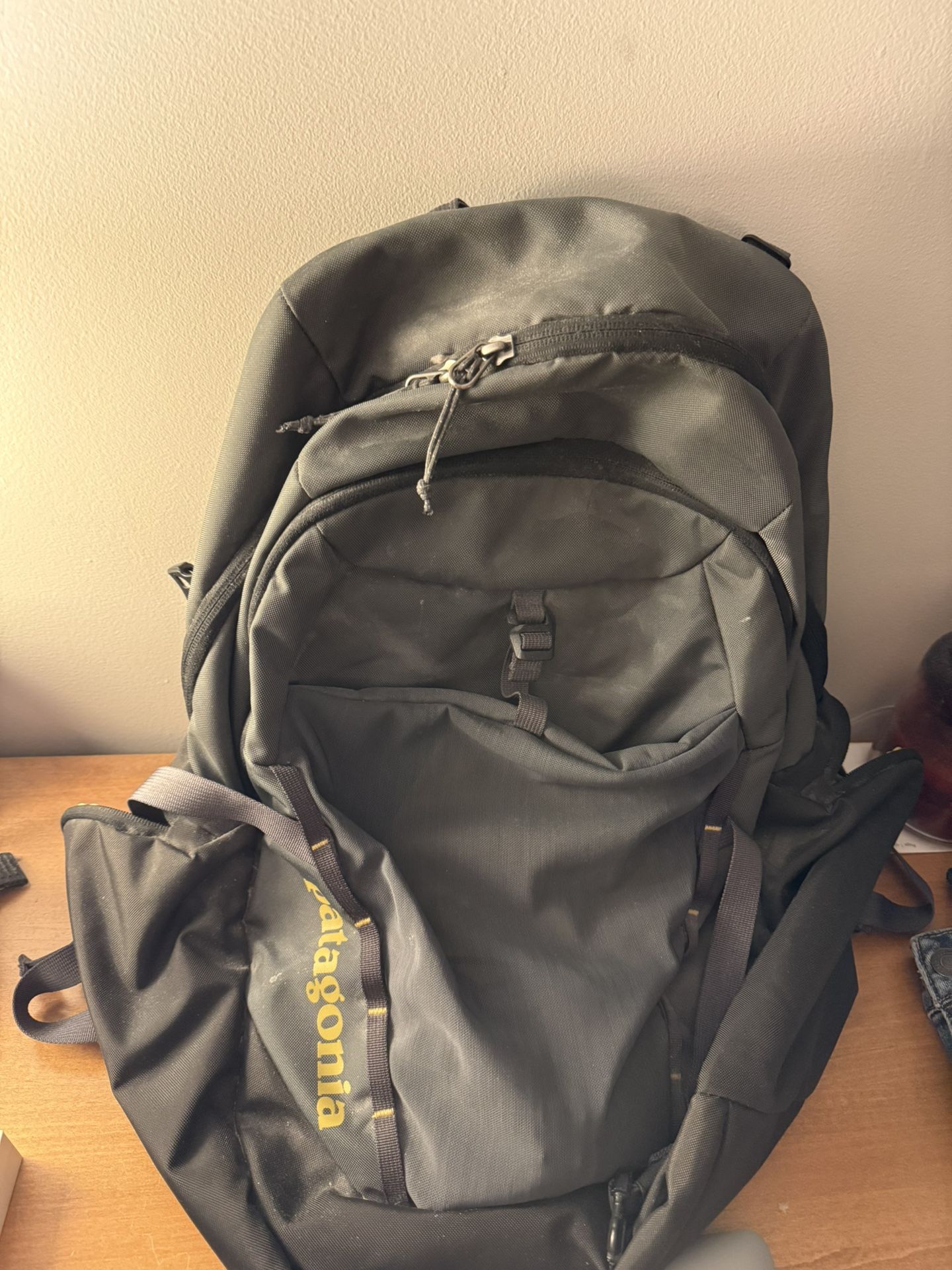 Patagonia Backpack