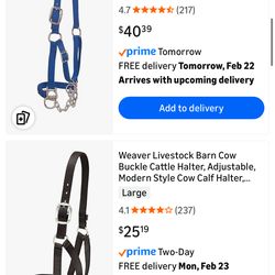 Cow calf livestock show or stable halter