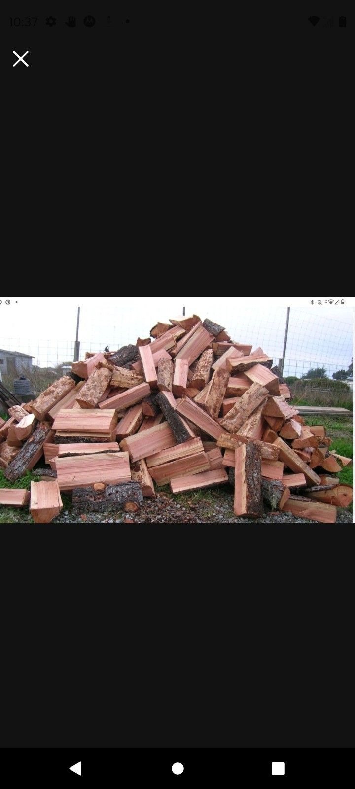 Firewood