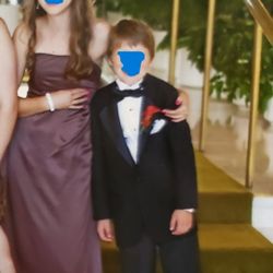 Metallic Chocolate Strapless Long Formal Dresses Worn Once Size 2 and Size 4