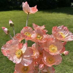 Artificial Light Pink Poppy Flower For Wedding Centerpiece