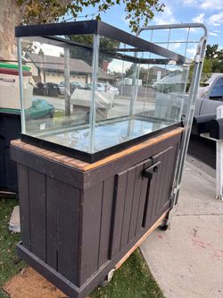 Reptile tank