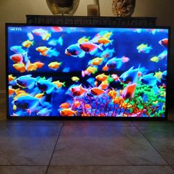48" TCL Roku Smart TV