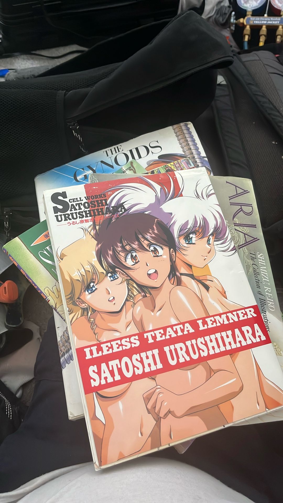 Erotic Art (Japanese) Books 