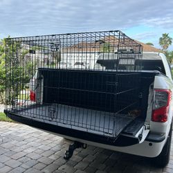48-Inch Two-Door iCrate Folding Dog Crate
