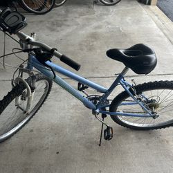 Roadmaster 26 Bike 21 Speed
