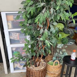 Artificial Plant 