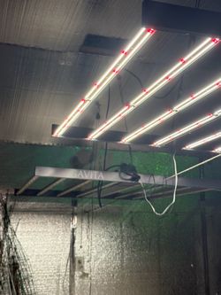 Gavita LED $150
