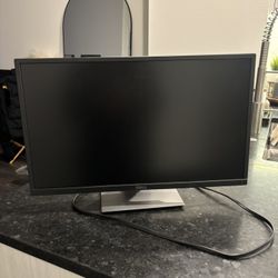 Dell Computer Monitor 