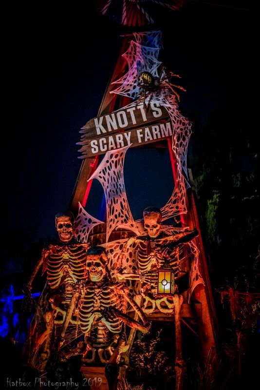 KNOTTS SCARY FARM TICKETS 