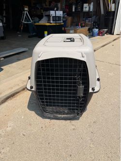 Pet taxi carrier