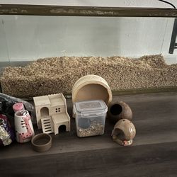 Gerbil Tank/Accessories 