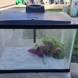 20 Gallon Aquarium Complete Kit