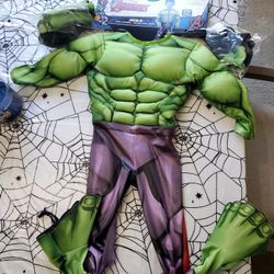 Hulk Custome