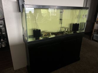 Fish Tank/Stand