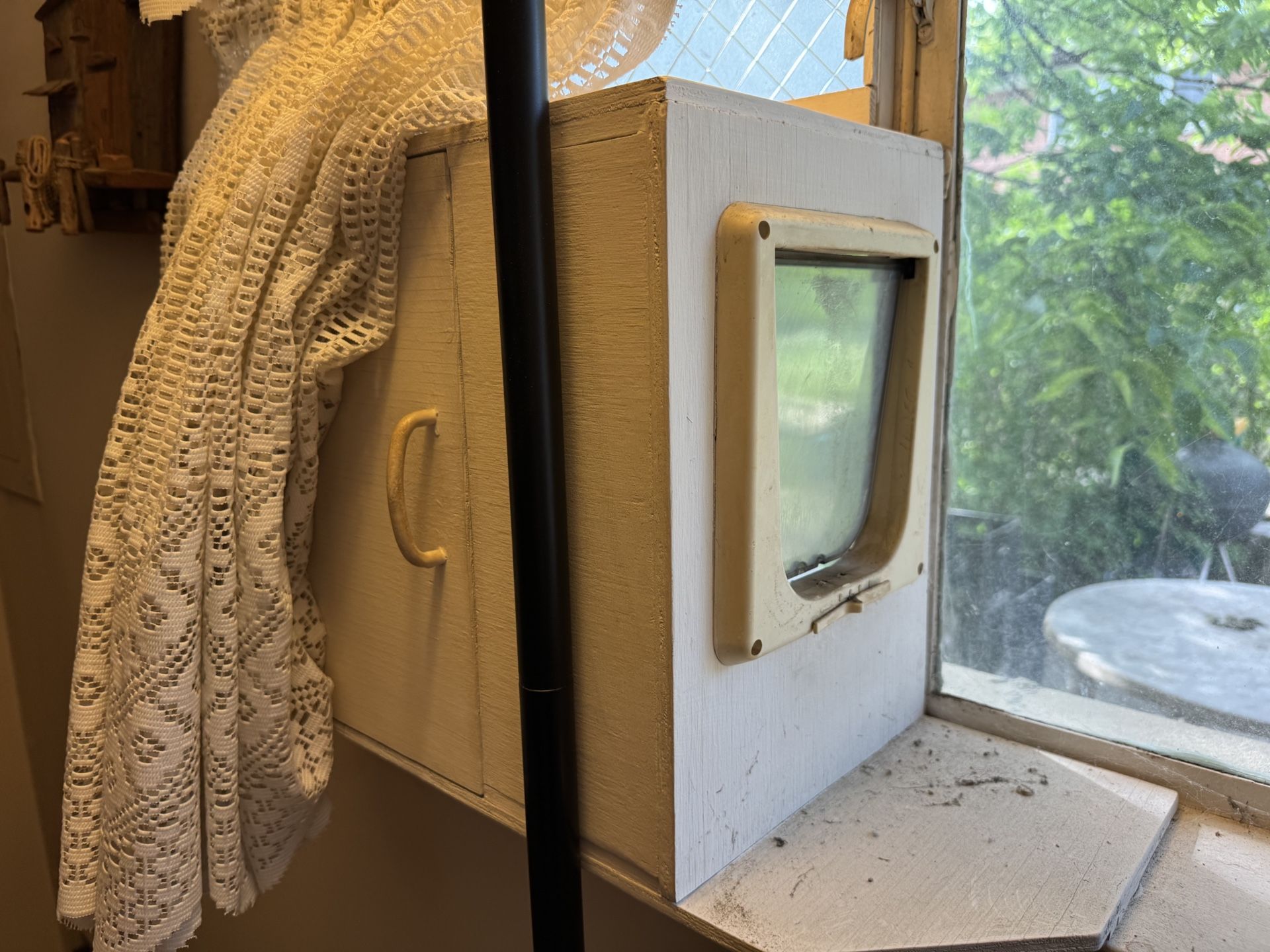 Free Cat Window Box Entry