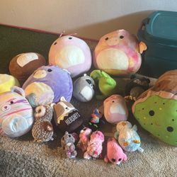 Squish mellows and Beanie Babies