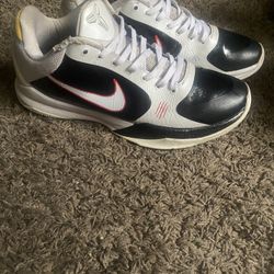 Kobe 5 Protro Bruce Lee Alternate