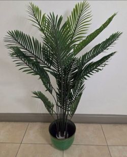 62in Faux Areca Palm in a 12in (Diameter) Green Resin Planter @ Lasting Creations
