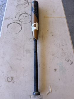 Zoa 31 - 8