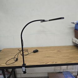 Attachable gooseneck desk lamp