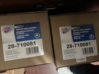 Complete Strut Assembly